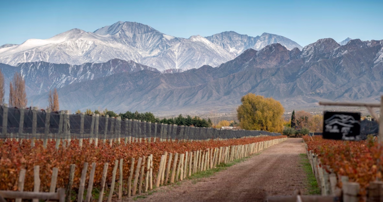 Terrazas de los Andes