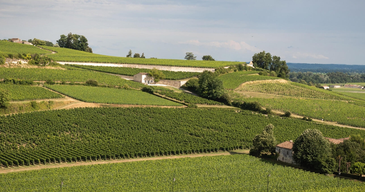 Chateau Lafon La Tuilerie