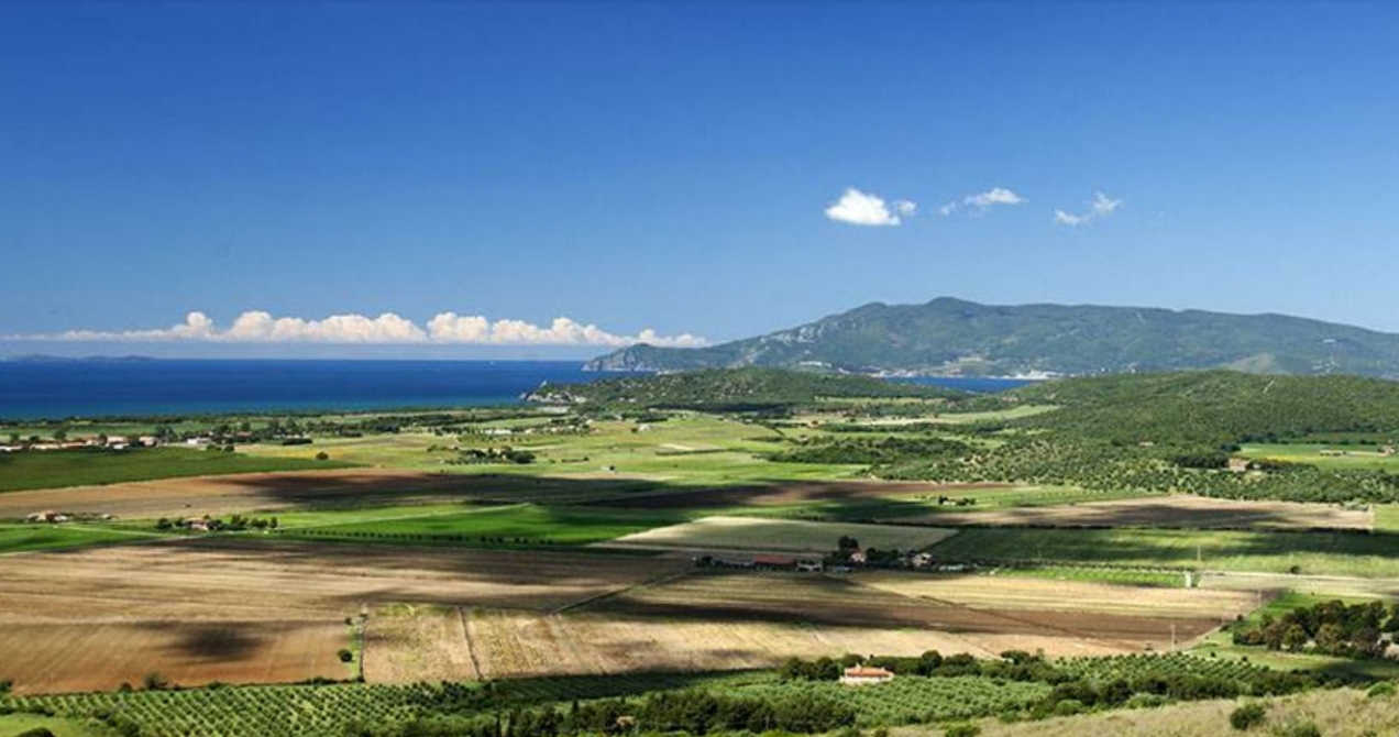 La Vigna delle Scuderie